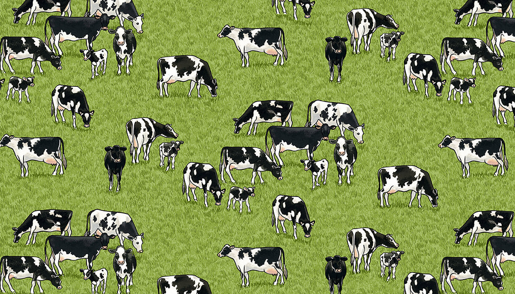 Village Life Cows
